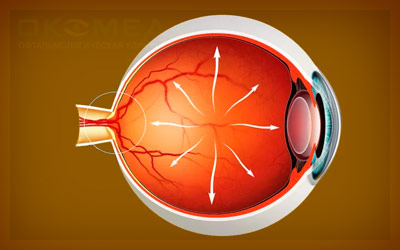 Реферат: Глаукома. Что может привести к потере зрения